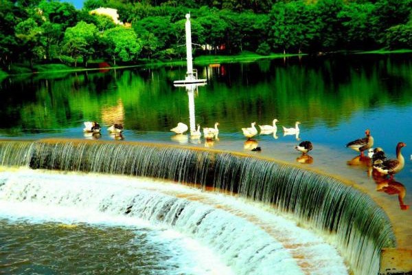 Águas do Horto Municipal preocupam